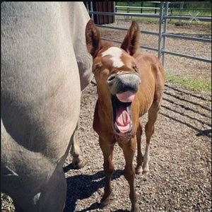 Meet your Posher, Zoey